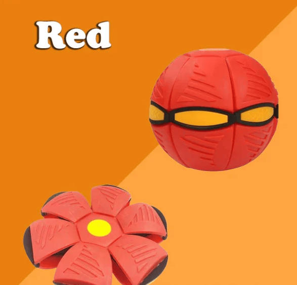 BUY MORE SAVE MOREš„The Doggy Disc Ballš