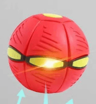 BUY MORE SAVE MOREš„The Doggy Disc Ballš