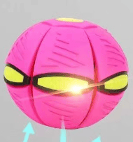BUY MORE SAVE MOREš„The Doggy Disc Ballš