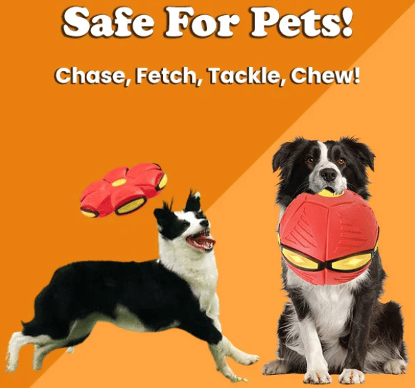 BUY MORE SAVE MOREš„The Doggy Disc Ballš