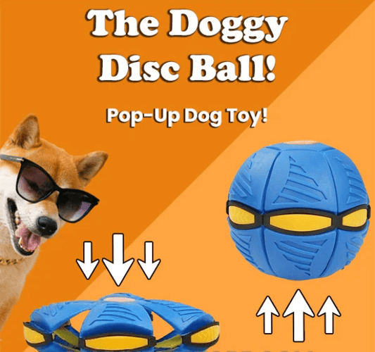 BUY MORE SAVE MORE💥The Doggy Disc Ball💞