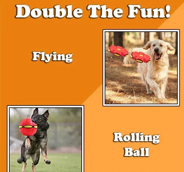 BUY MORE SAVE MORE💥The Doggy Disc Ball💞