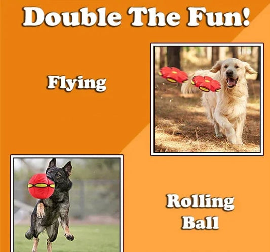 BUY MORE SAVE MORE💥The Doggy Disc Ball💞